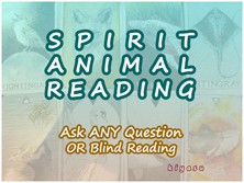 Spirit Animal Reading
